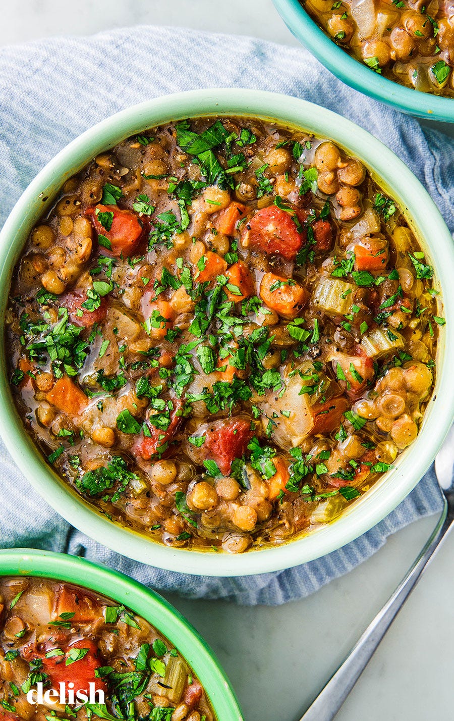 https://hips.hearstapps.com/hmg-prod/images/delish-instant-pot-lentil-soup-pin-1543611100.jpg?crop=1xw:0.9453781512605042xh;center,top&resize=980:*