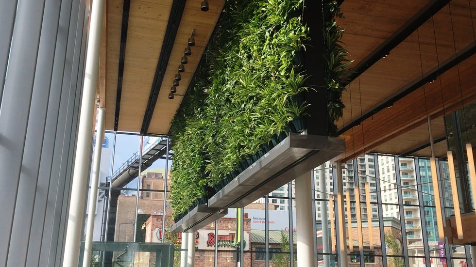 Tree, Architecture, Building, Plant, Facade, Daylighting, Wood, Window, Roof, Ceiling, 