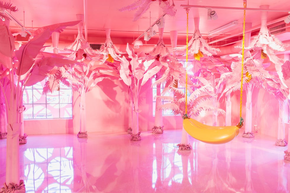 Museum Of Ice Cream