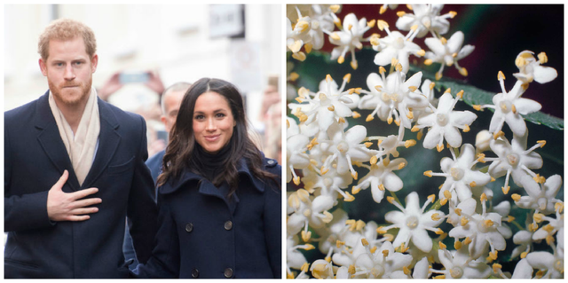 Royal Couple
