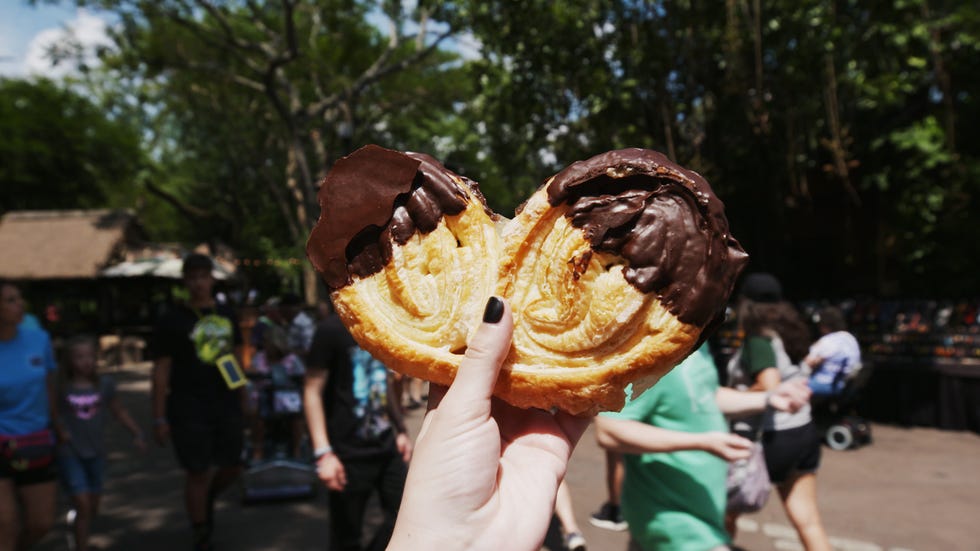 Food, Fun, Dessert, Cuisine, Photography, Plant, Dish, 