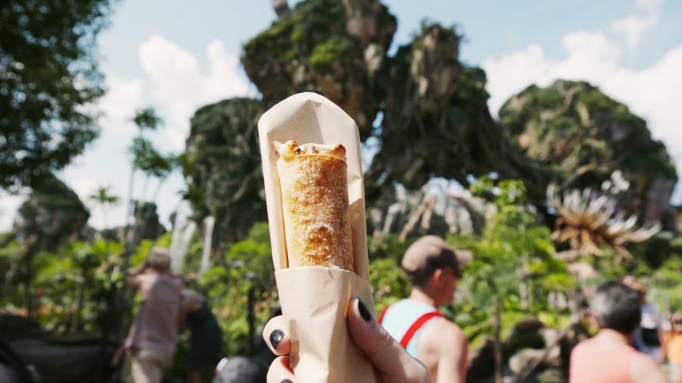 Cuisine, Ingredient, Cone, Dish, Finger food, Snack, Fast food, Frozen dessert, Dessert, Ice cream, 