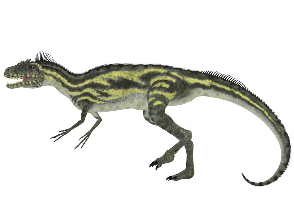 deltadromeus dinosaur, white background