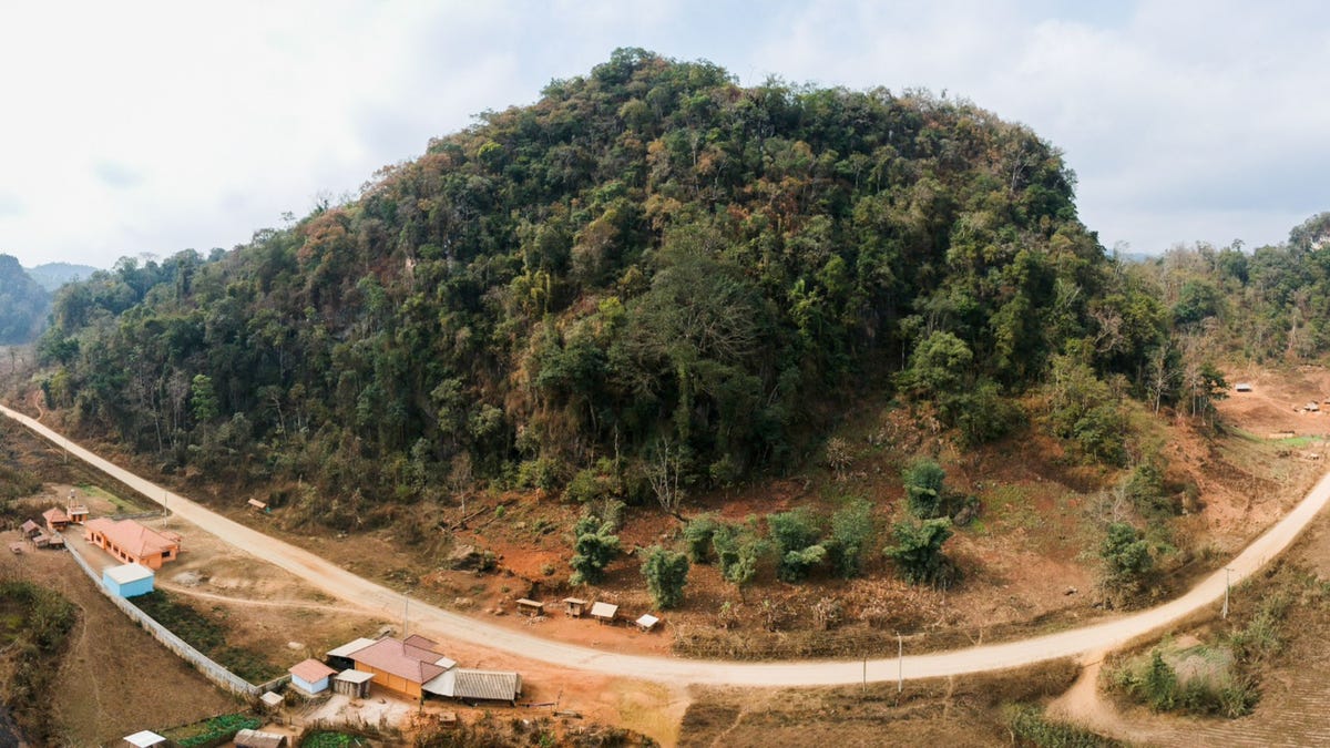 De pas ontdekte tand komt uit de Cobragrot in Laos Deze krappe holte ligt in een weelderige helling zoals op de foto is te zien Wetenschappers moesten touwen gebruiken om de grot te bereiken