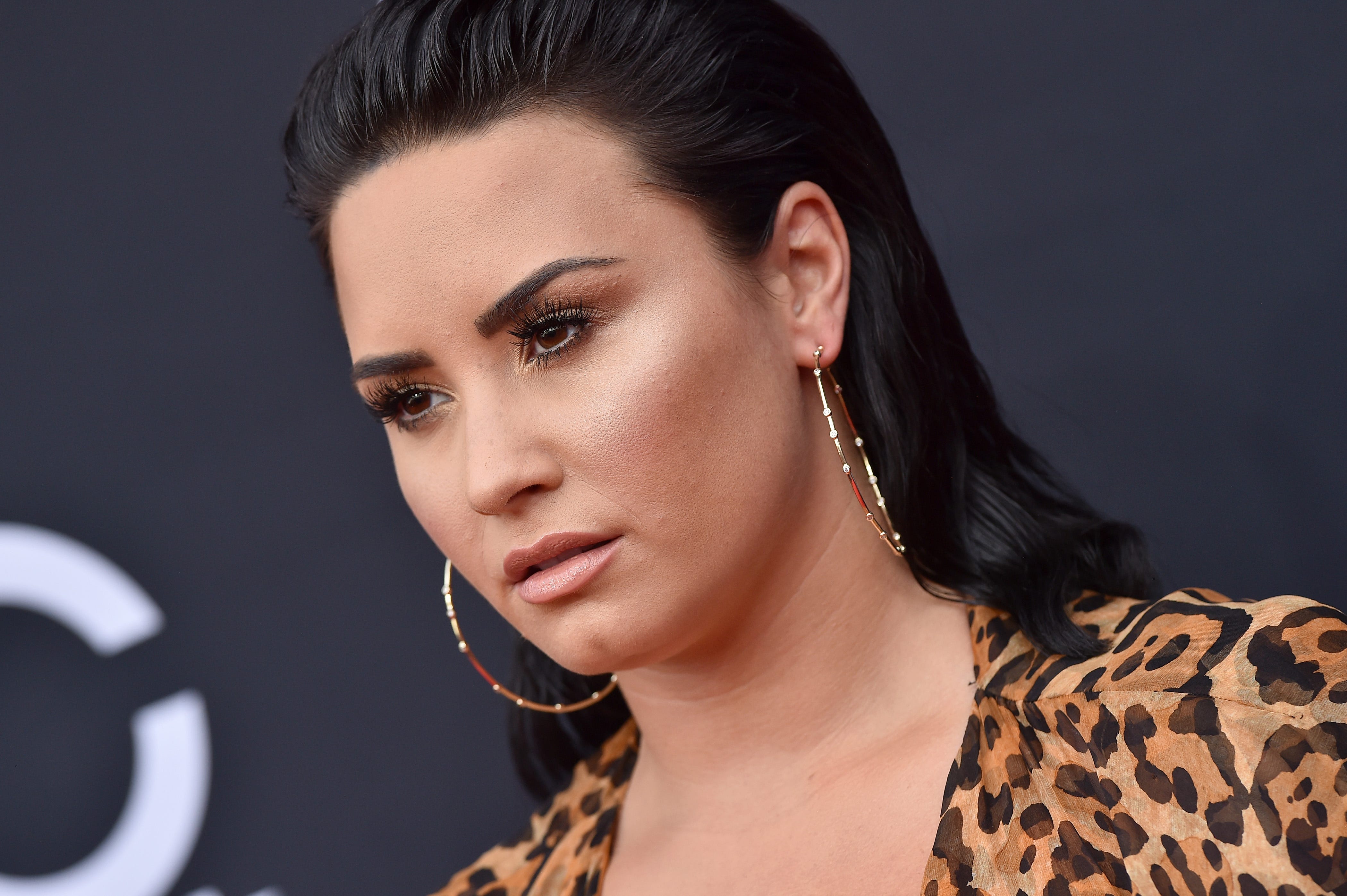 Demi lovato fansite gallery