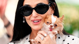 demi moore perro pilaf