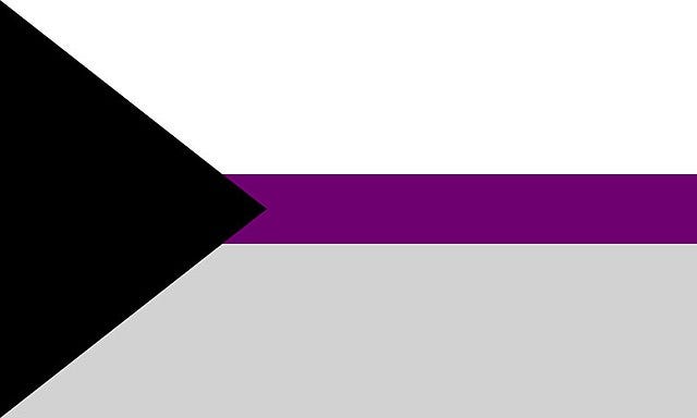 lgbtq demisexual pride flag