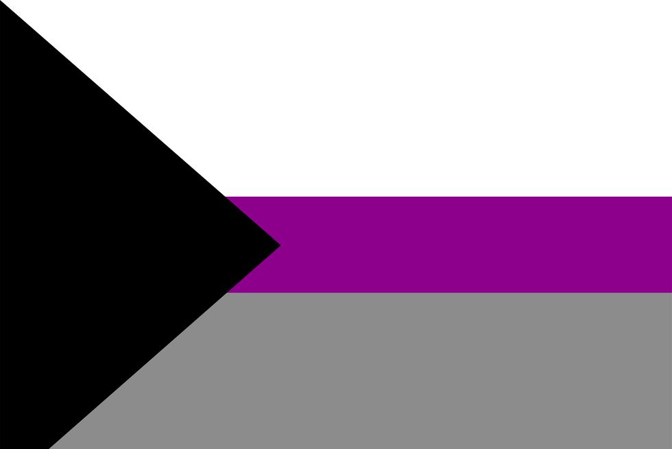pride flag meanings demisexual flag