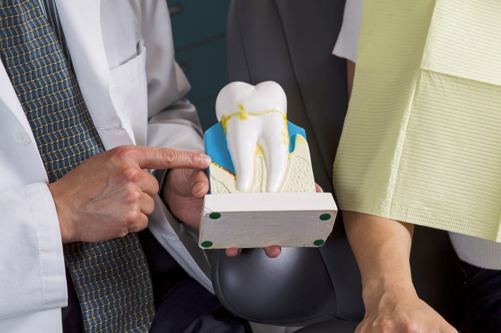 dentist showing patient how to care for teeth with display