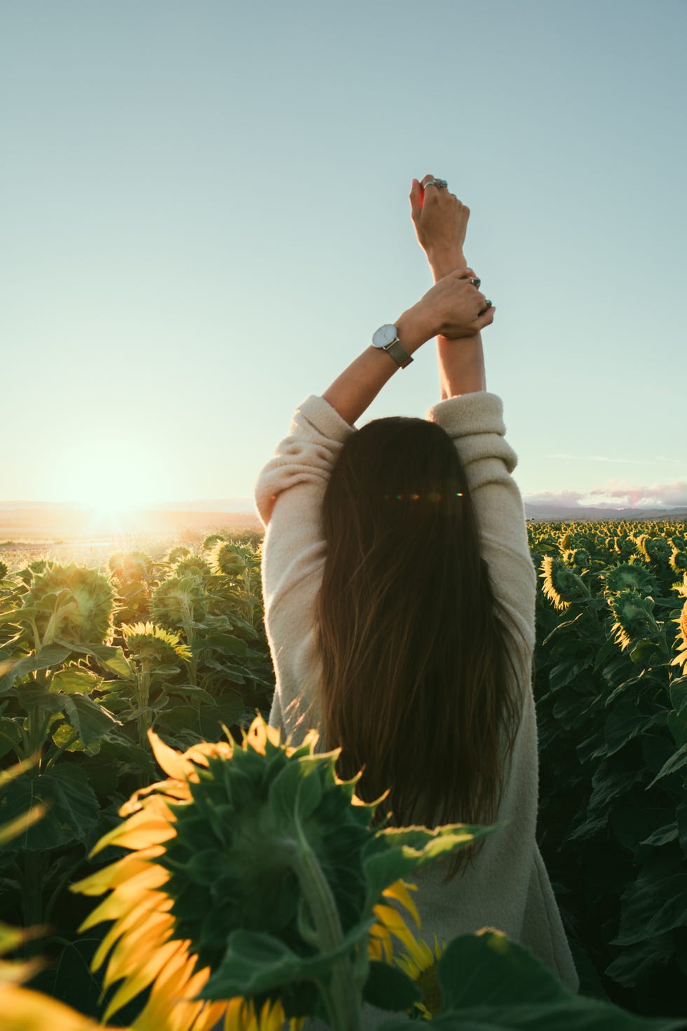 People in nature, Sky, Sunflower, Green, Backlighting, Sunlight, Yellow, Light, Happy, Summer, 