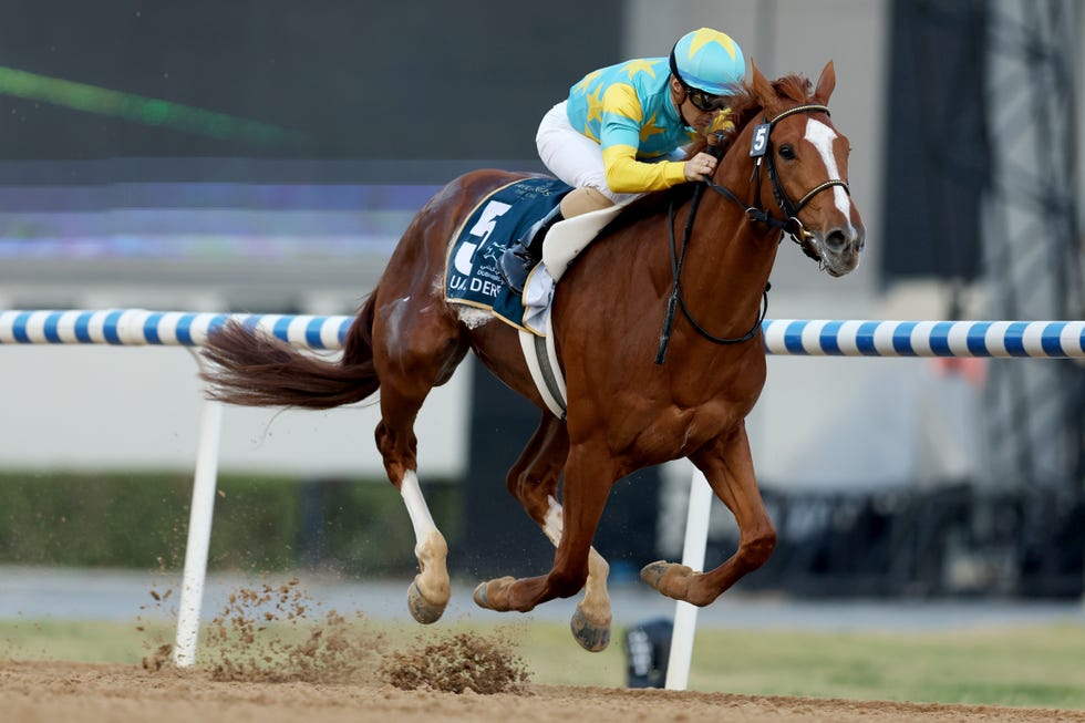 Top Kentucky Derby Horses 2023 Favored Kentucky Derby Horses