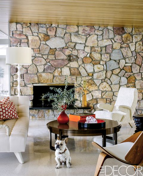 Room, Interior design, Furniture, Home, Floor, Living room, Dog, Wall, Dog breed, Flooring, 