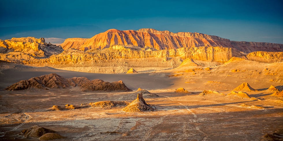 An Unexpected Wildflower Bloom Just Happened in Chile's Atacama Desert ...