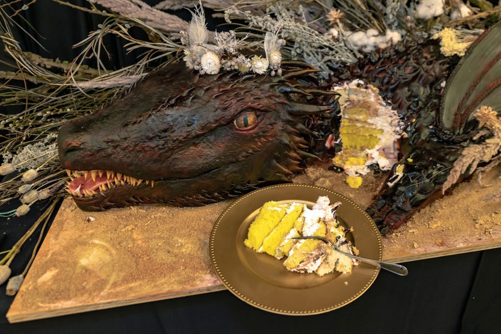 Alligator, Crocodilia, Plate, Jaw, Crocodile, Tooth, Fang, American alligator, Monkfish, American crocodile, 