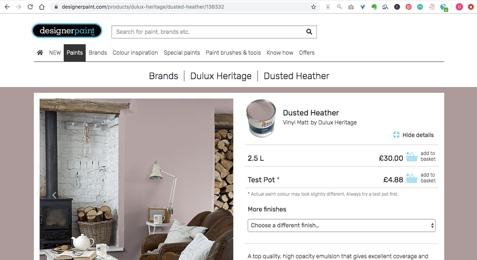 Designer Paint website
