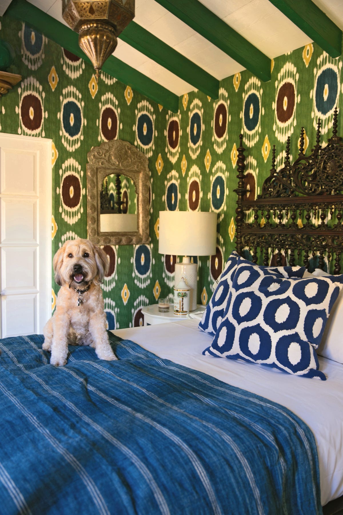 7 Pet-Friendly Interior Design Ideas Your Furry Friend Will Love