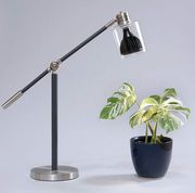 desk lamp over plant