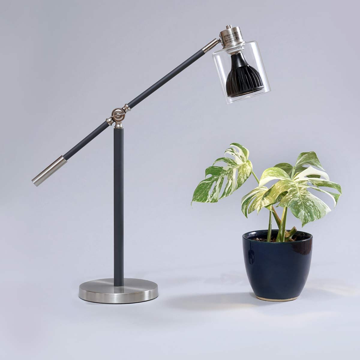 desk lamp over plant