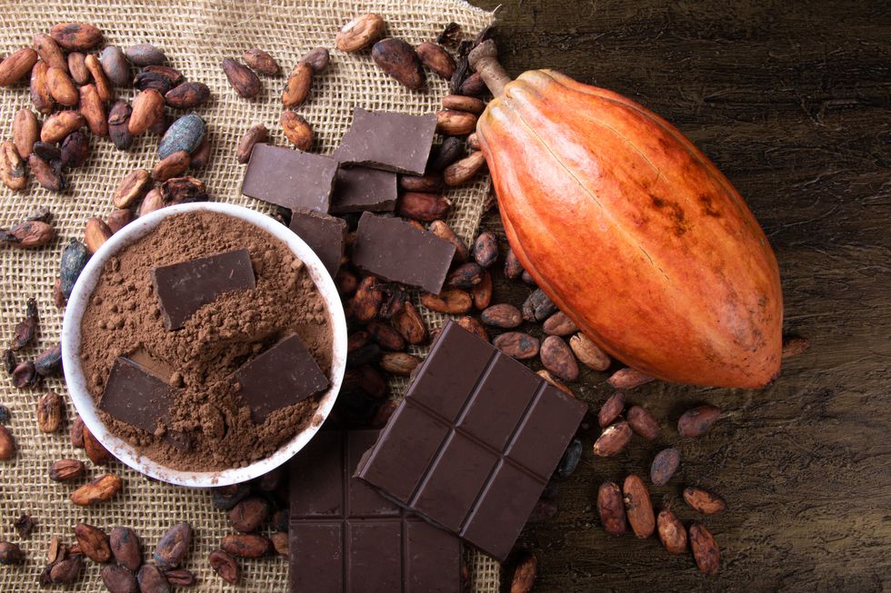 チョコレートの健康効果