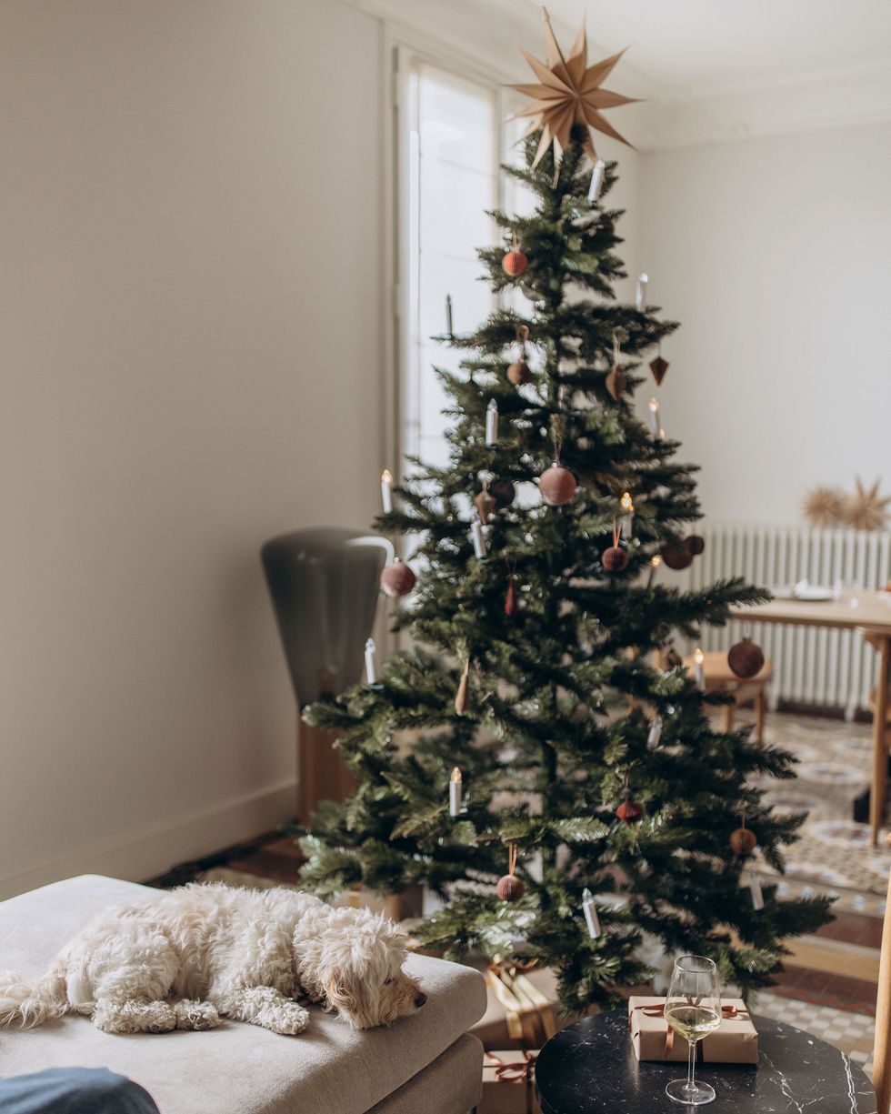 Pearl Garland Christmas Tree - Shop on Pinterest
