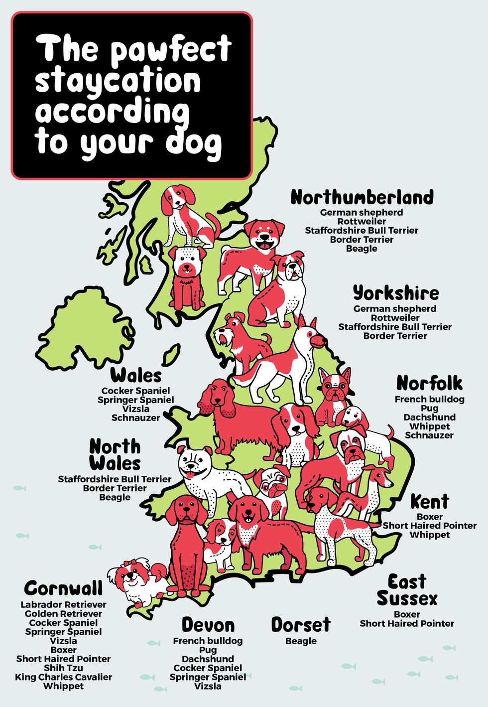 dog friendly holidays uk