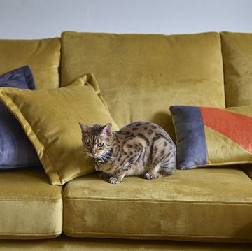 how to buy a sofa  sofa buying guide