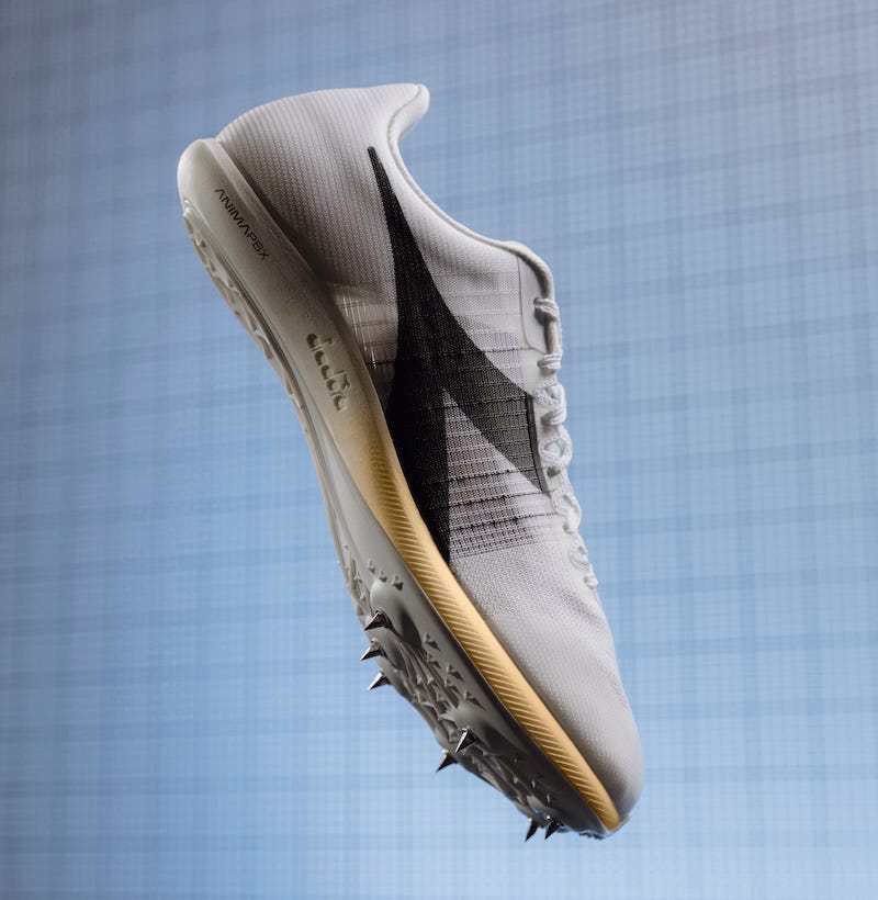 a pair of shoes