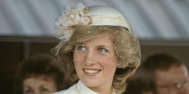 The 'real reason' Princess Diana was in Paris on night of car
