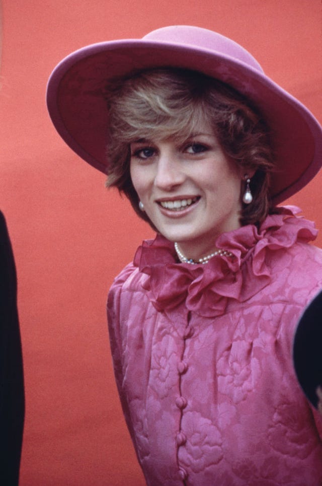 diana during state visit