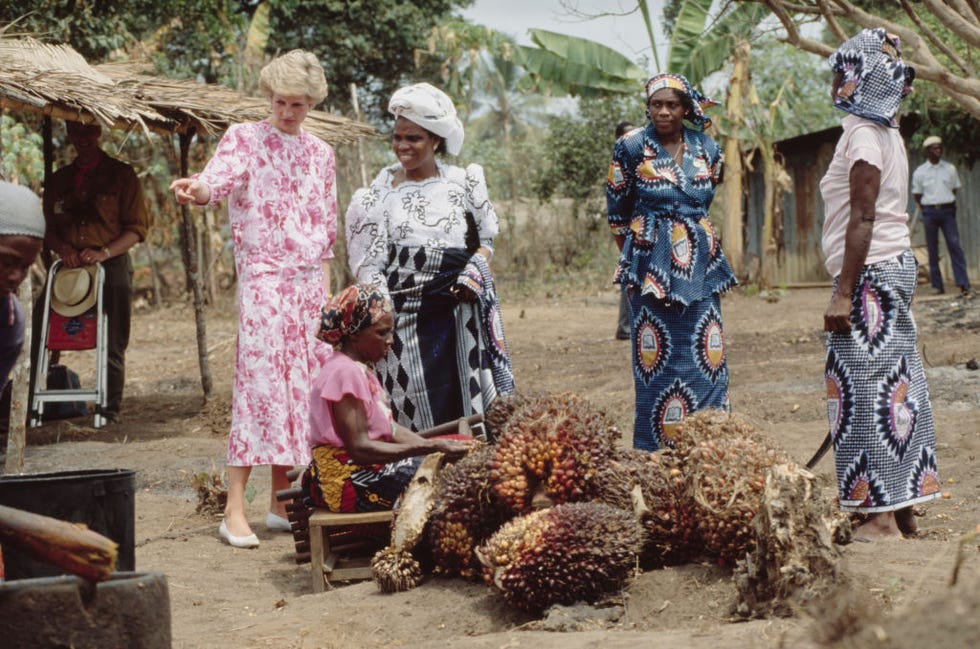 royal visit to nigeria, 1990