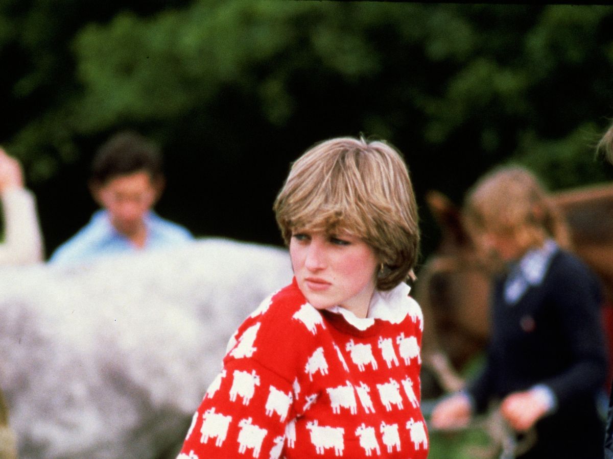Lady Diana's sheep sweater sells for over a million dollars?