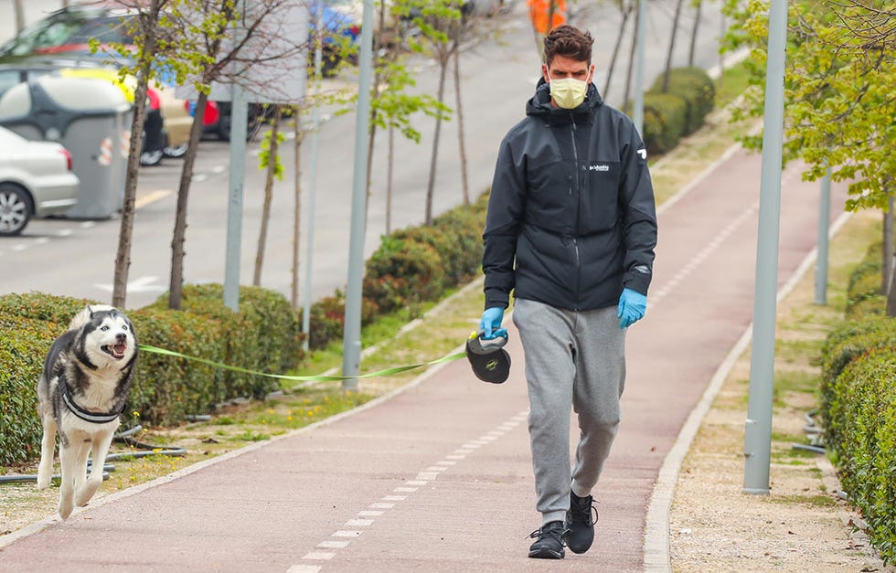 El hijo de Kiko Matamoros, tras pasar unas duras semanas luchando contra el COVID-19, por fin, ha superado la enfermedad. En sus primeras imágenes tras superar el coronavirus, vimos a Diego paseando a su perro.