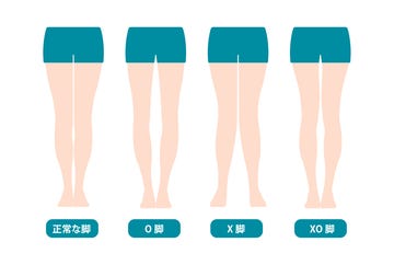 difference types of  legs angles and knees vector illustration  japanese