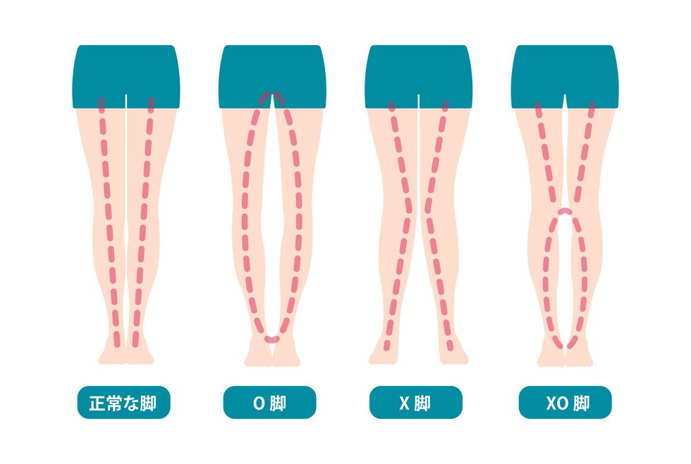 difference types of  legs angles and knees vector illustration  japanese
