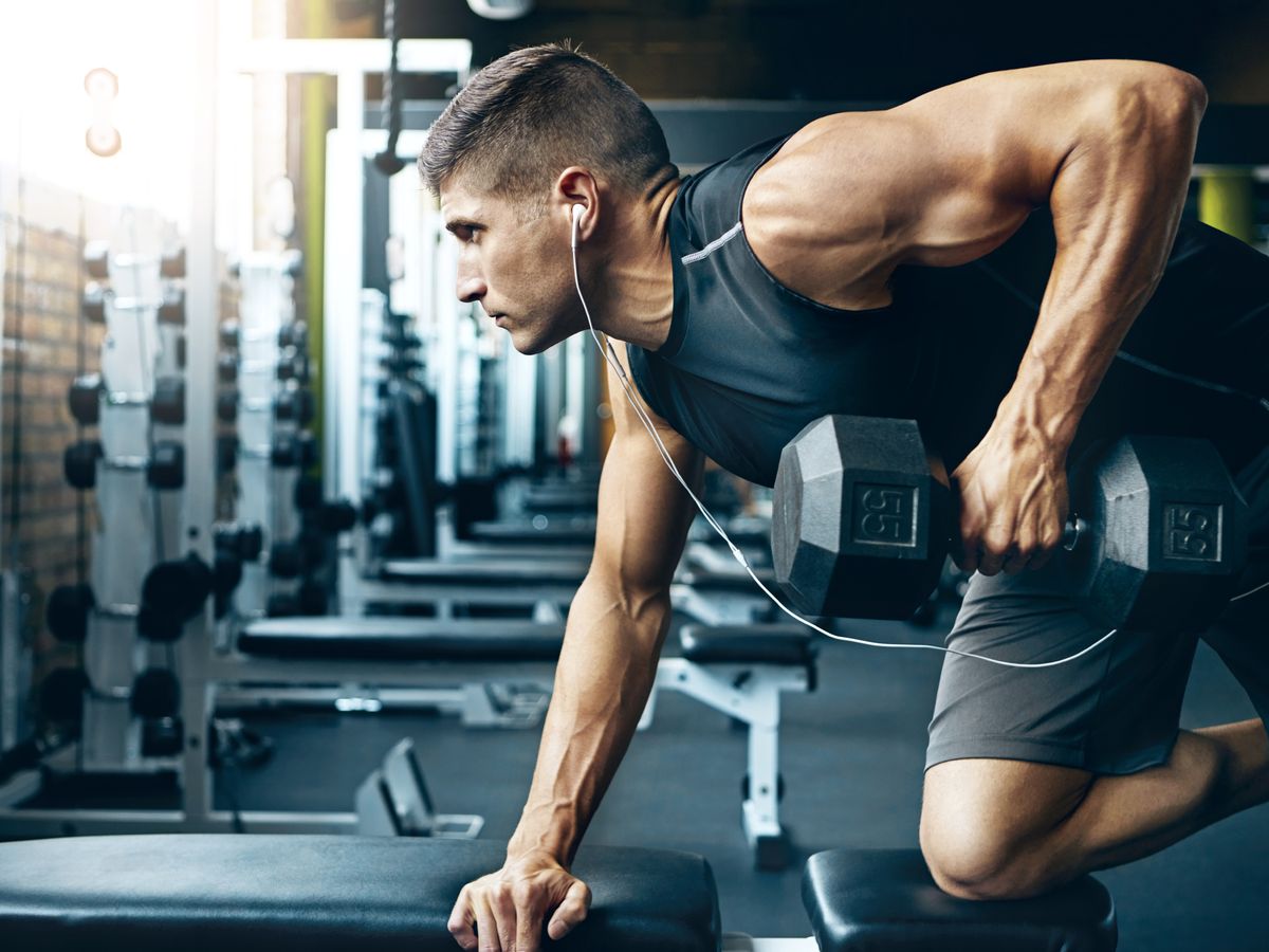 The ultimate guide for gym newbies - Titan Fitness