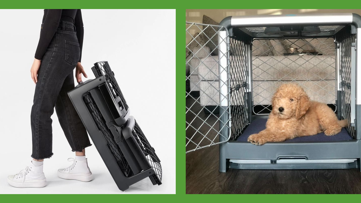 Diggs Collapsible Dog Crate Review: Why The Diggs Crate Went Viral