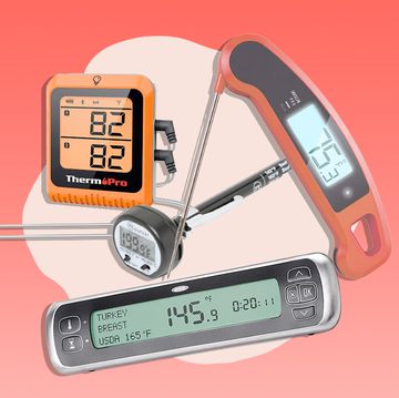 digital meat thermometers