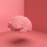 3d digital picture of human brain in solid color