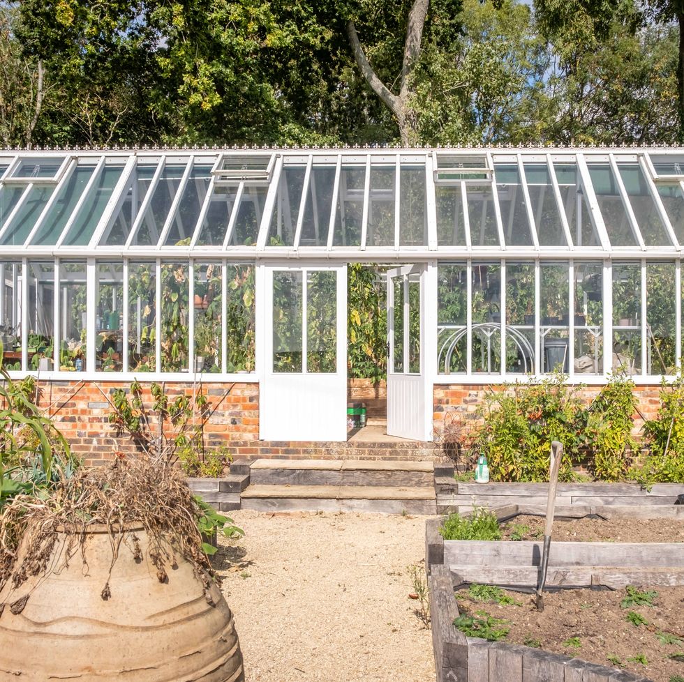 a greenhouse with a glass roof