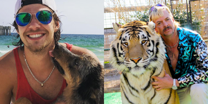 Tiger, Bengal tiger, Felidae, Siberian tiger, Wildlife, Big cats, Carnivore, Whiskers, Glasses, Human, 