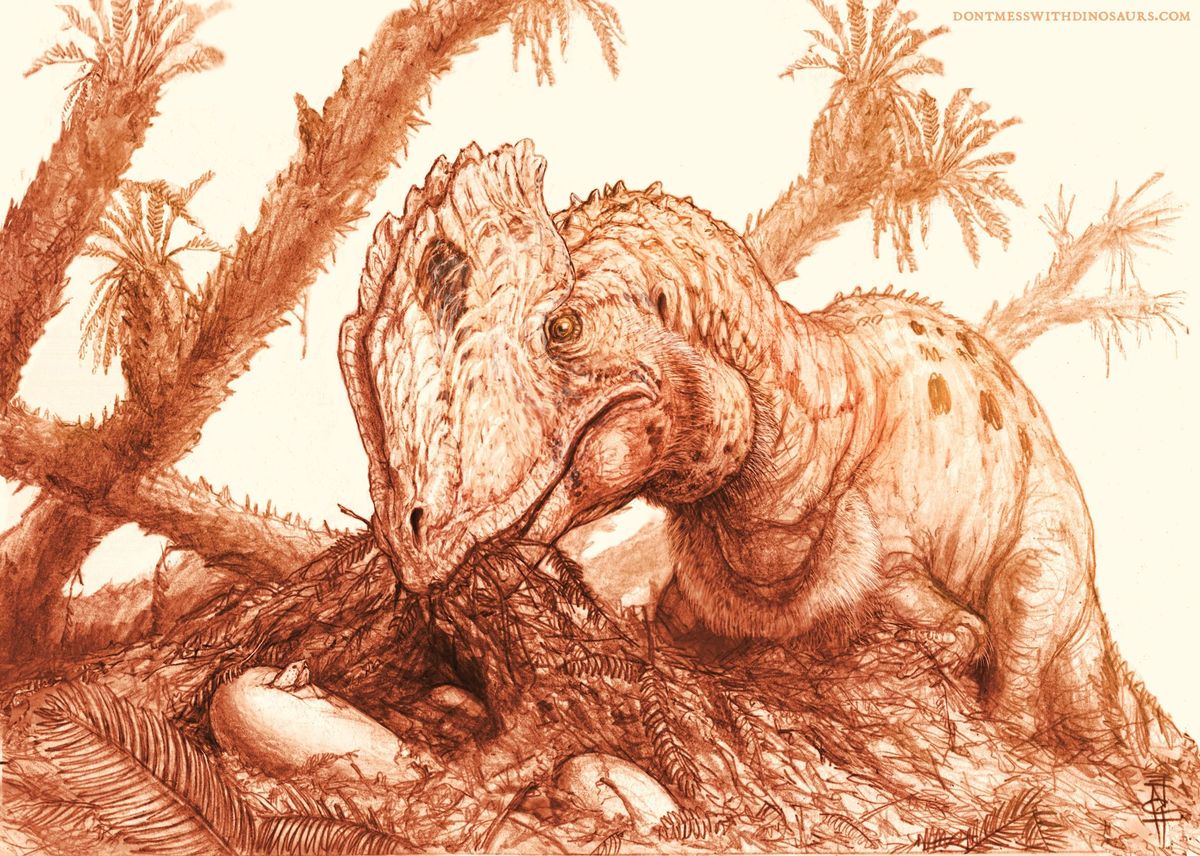 Reconstructie van een volwassen Dilophosaurus wetherilli die een legsel van eieren verzorgt