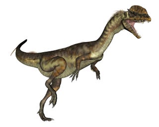 recreación ilustrada de un ejemplar de dilophosaurus