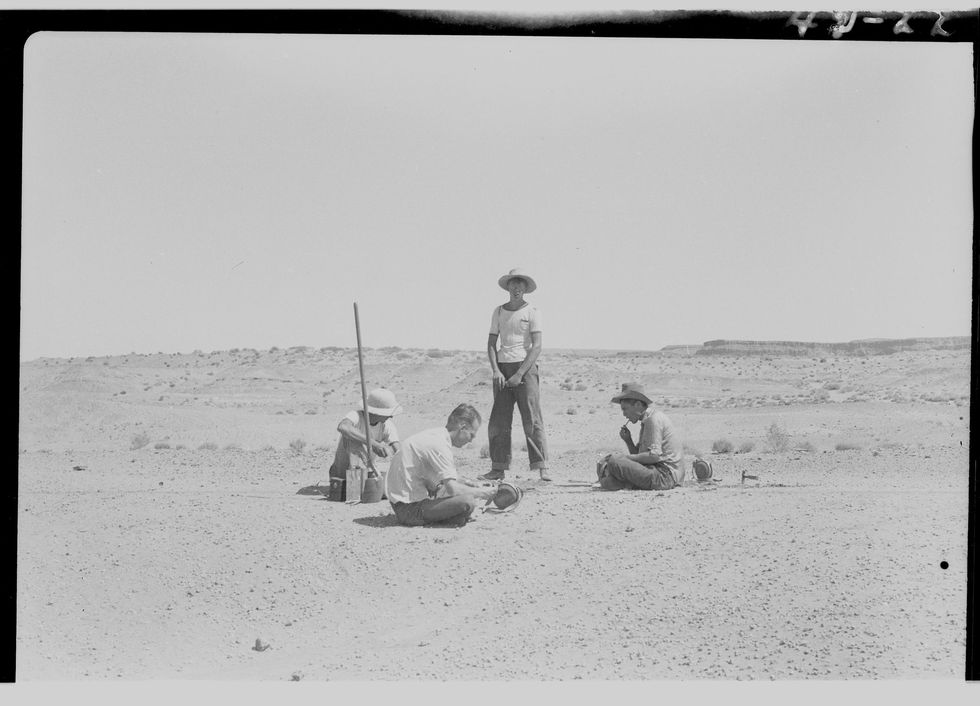 Deze foto werd gemaakt tijdens opgravingen in 1942 door wetenschappers van de University of California in Berkeley toen een exemplaar uit het geslacht Dilophosauruswerd blootgelegd