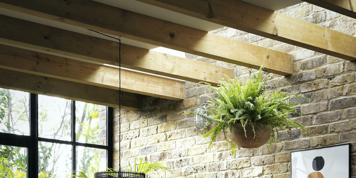 5 maneras de decorar tu casa con plantas