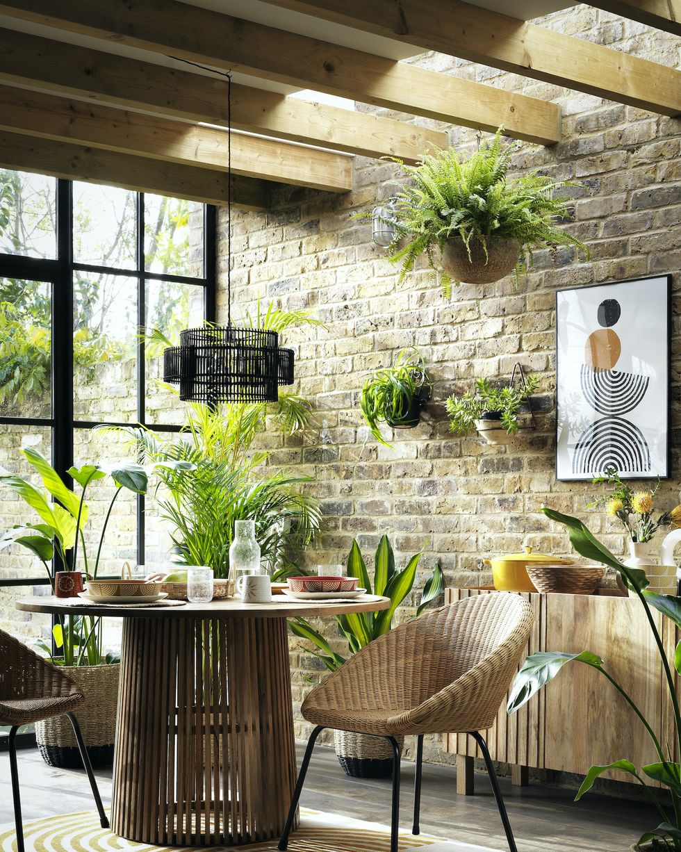 Cinco maceteros colgantes para que tus plantas de interior den vida a las  paredes de tu casa