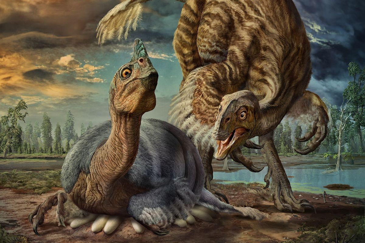 Een gigantische casuariusachtige dinosaurir met de naam Beibeilong die eieren legt volgens een weergave van een kunstenaar