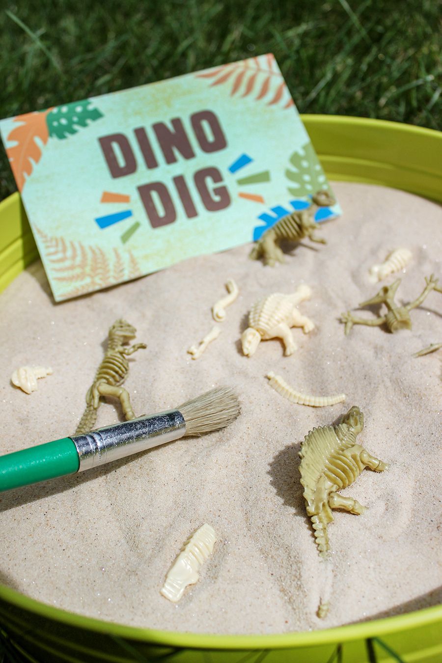 Dinosaur Dig Birthday Party