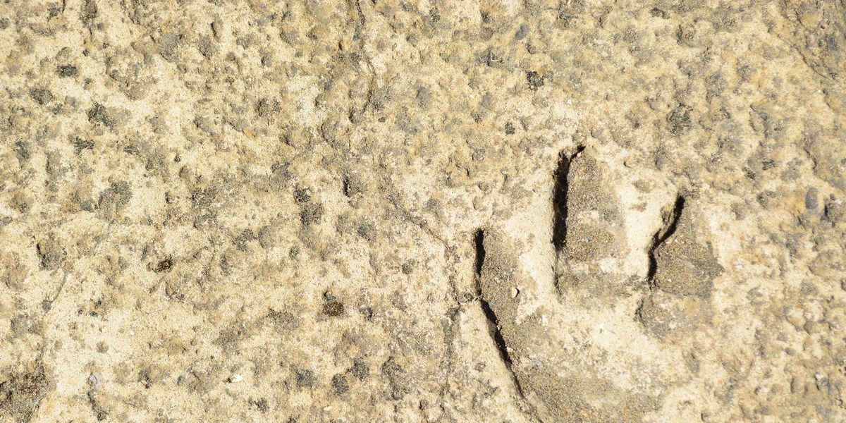 Scientists Found Footprints That Push Humanity’s Timeline Back By 40 Million Years
