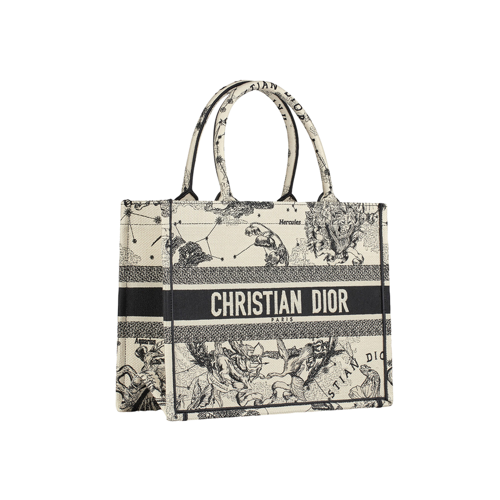 ディオール（DIOR）新作バッグ【2021秋冬】｜ファッション｜ELLE