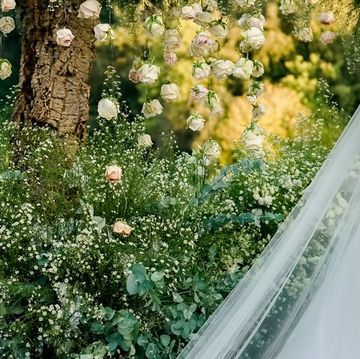 Wedding dress, Dress, Clothing, Bridal clothing, Gown, Flower, Plant, Bride, Botany, Spring, 